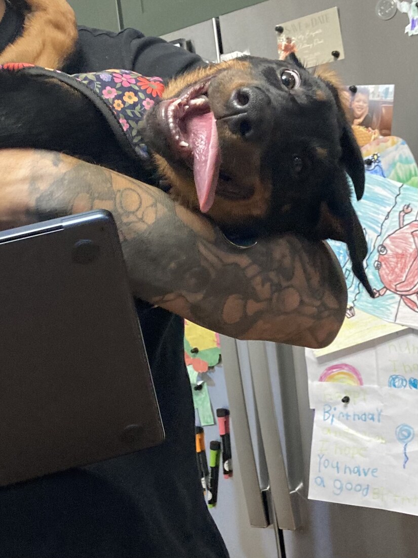 Clover 2mo sillyface