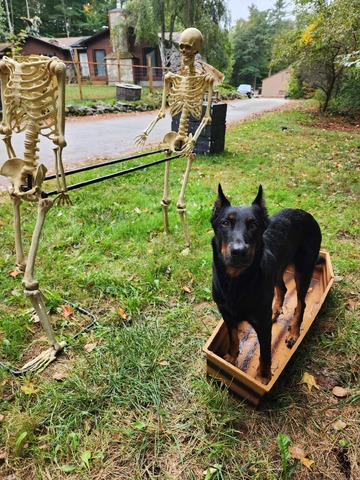 Trying out the Halloween decor