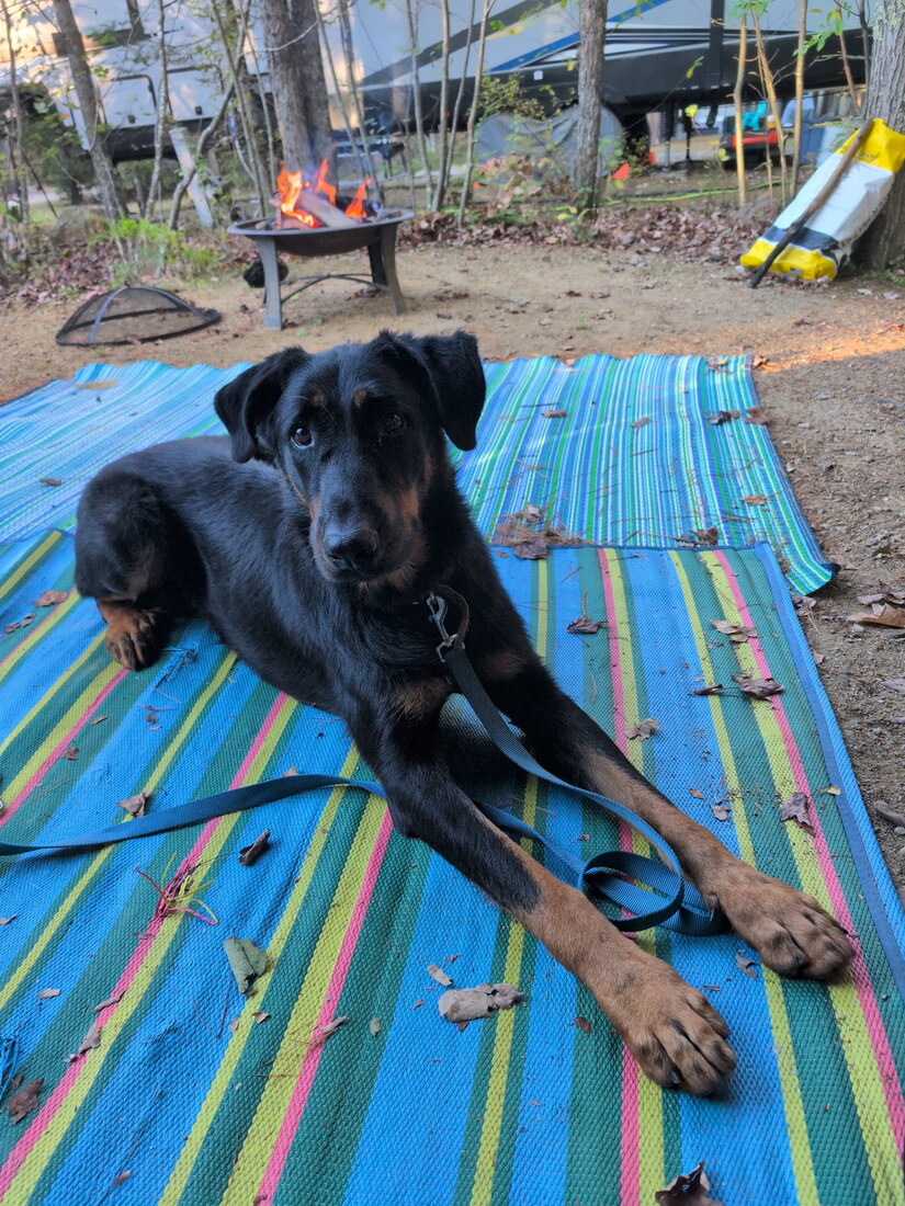 Zeke Camping